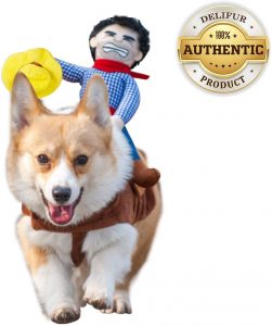 Cowboy Riding Dog Costume