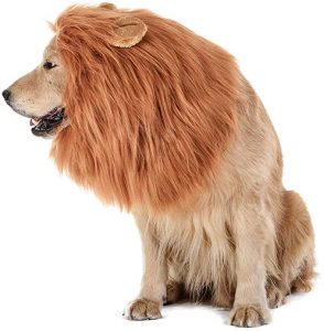 Dog Lion Costume