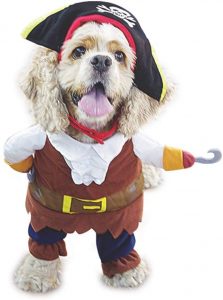 Dog Pirate Costume