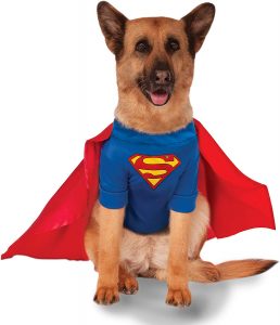 Superman Dog Costume
